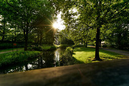 Park mit Teich im Morgenlicht, Sonne scheint durch Bäume.