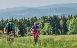 Zwei Mountainbiker fahren durch grüne Wiese mit Wäldern und Bergen im Hintergrund.