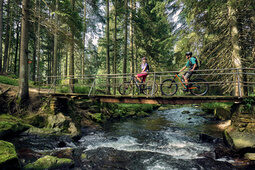 Zwei Mountainbiker mit Helmen auf Holzbrücke über Bach im dichten Nadelwald.
